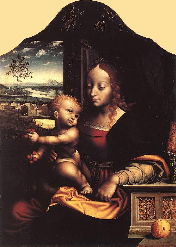CLEVE, Joos van Virgin and Child vfhg oil painting picture
